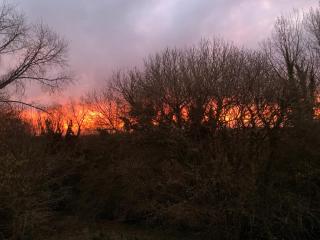 Domaine de la Blanche Hermine - 2