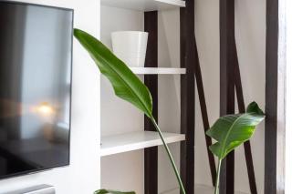 Central London apartment in Vauxhall near big Ben - 7