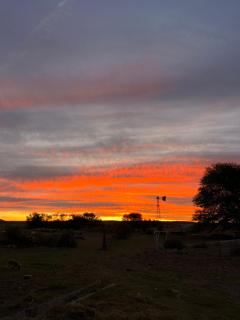 Wiida Gasteplaas - 8