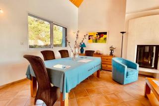 Les agapanthes - vue mer - Roscanvel - 1