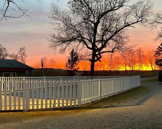 Driftwood Resort Bull Shoals - Bull Shoals - 6