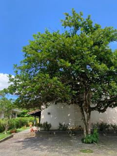 Casa da dona Ruth - Ubatuba - 0