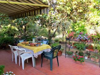 Umbria Country B&B - Giove - 7
