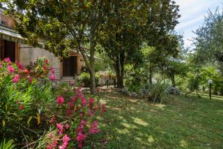 Umbria Country B&B - Giove - 8