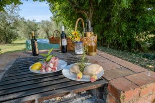 Umbria Country B&B - Giove - 1