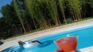 Maison au calme vacances au vert en famille - 2
