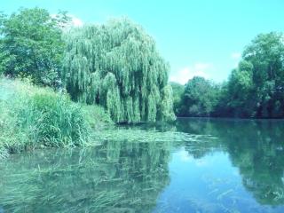 Le Havre de Bennecourt - Bennecourt - 6