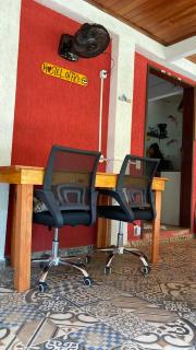 Tropical Hostel - Pipa - 7