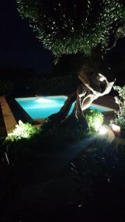 Villa Alessandra - Monopoli - 5
