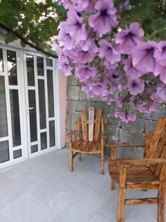 Apartments Stankovic & Boat tours - Virpazar - 6