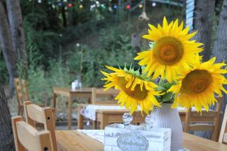 Sirena Holiday Park - Kamchia - 7