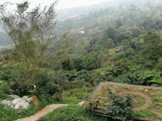 Cabaña MonteNube EcoConcientizate - 5