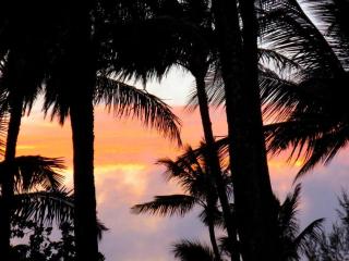 Glorious Beachfront high end Villa - Kahuku - 3