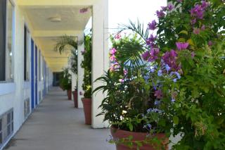 Americas Best Value Inn Bradenton-Sarasota - Bradenton - 7