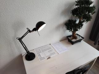 Little Bonsai (5min to downtown) - 5
