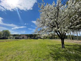 B&B Da Leone - Palazzolo dello Stella - 7