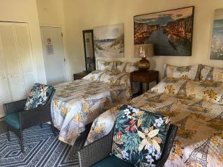 Nice Studio w/ AC near Kehena Beach and lava fields - Kehena - 4