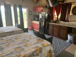 Nice Studio w/ AC near Kehena Beach and lava fields - Kehena - 6