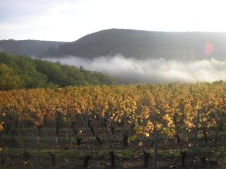 grange rénovée en pleine nature - Valady - 7