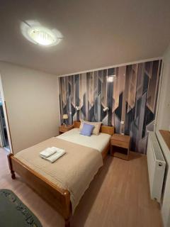 Guest House Luxotel - Zrenjanin - 5