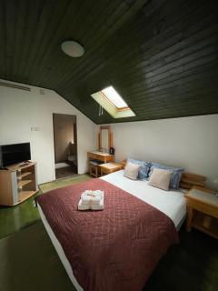 Guest House Luxotel - Zrenjanin - 4