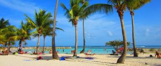Studio Ti Coco - Sainte-Anne - 8