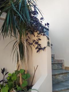Villa 29 - Saranda - 8