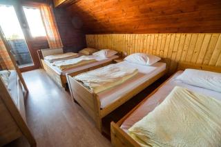 Ruška koča - Hočko Pohorje - 8