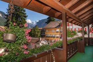 Alpenblick Hotel & Restaurant Wilderswil by Interlaken - 4