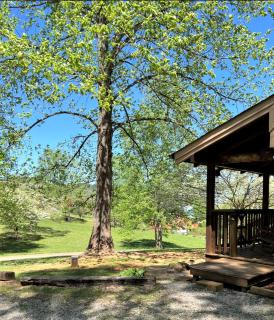 Windy Ridge-Free Tickets-Dog Friendly-Fenced In Yard - Sevierville - 3