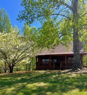 Windy Ridge-Free Tickets-Dog Friendly-Fenced In Yard - Sevierville - 2