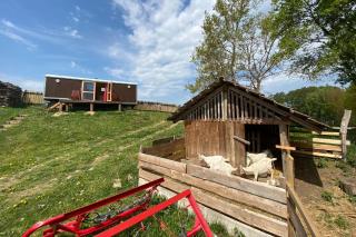 Maringotka na samotě na kozí farmě - 9