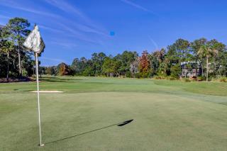 Greens 125 - Hilton Head Island - 5