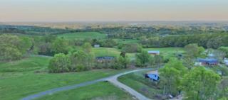 Chasing Views Tiny House - Dandridge - 5