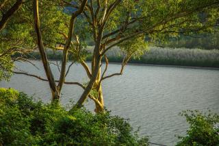 Forgotten Valley Guesthouse - 1