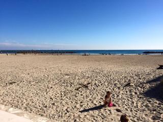 2 pièces avec terrasse en bord de mer - Parking - FR-1-338-96 - Sète - 1
