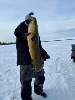 Tolsona Lake Lodge - 3