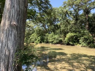 Lambert Park on Medina River - Bandera - 1