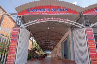 Lavender Garden Phu Quoc - Phu Quoc - 7