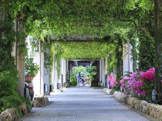 Okuma Private Beach & Resort - 2