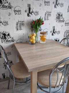 TROFFI T14- SELF CHECK-IN apartment for your comfort - Mažeikiai - 9