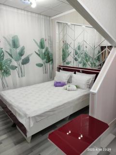 comfortable luxury apartment - Karakol - 2