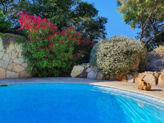 Spacious Villa with Pool and Fireplace - Roquebrune-sur-Argens - 6