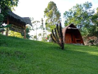 Orangutan Bungalow - 9