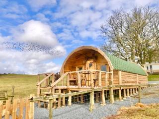 The Prancing Moose - Ystrad Meurig - 9