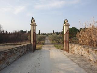 La Villa Michèle, domaine sur les hauteurs de Pézenas - Pézenas - 4