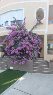 Residence Gordana 2 - Selce - 3