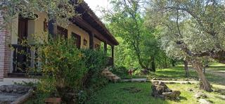 Finca La Josa, Candeleda, Gredos, VUTAV397 - Candeleda - 8