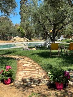 THIRES Guesthouse - Vasilikos - 5