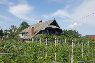Cottage near river Kolpa, vineyards,top location. - 8